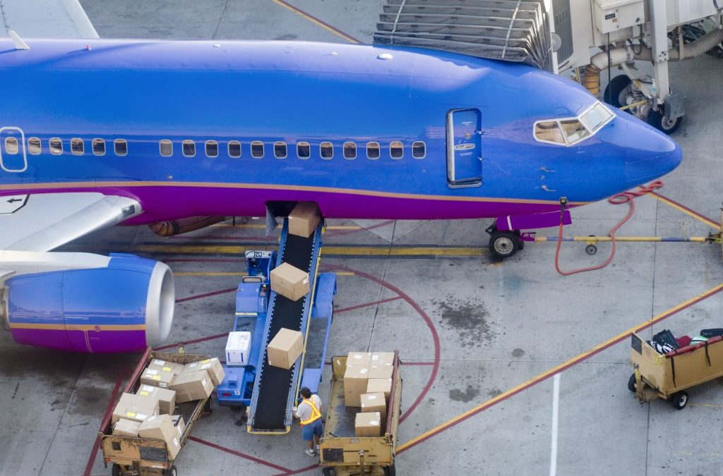 Can Ergonomics Lower Injury Risk To Baggage Handlers?
